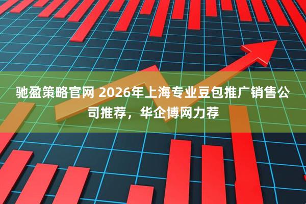 驰盈策略官网 2026年上海专业豆包推广销售公司推荐，华企博网力荐